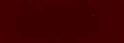 rouge tyson.JPG (1453 octets)