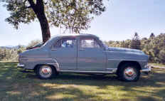 Deluxepeccaud.jpg (46401 octets)