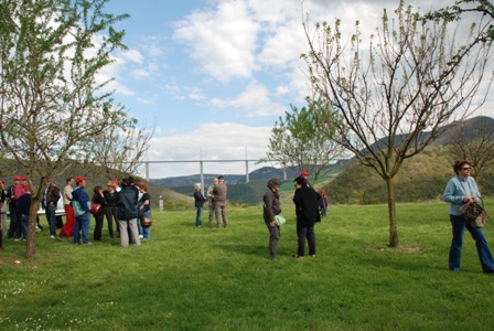 Copie de DSC_0313.JPG