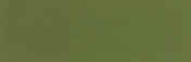 vert amazone.JPG (1469 octets)